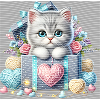 Valentine's Day-QRJ  4465